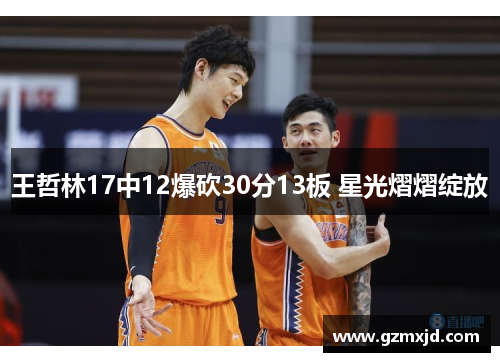 王哲林17中12爆砍30分13板 星光熠熠绽放